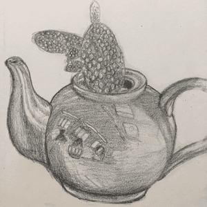 Cactuspot #teapot#cactus#drawing#pencil