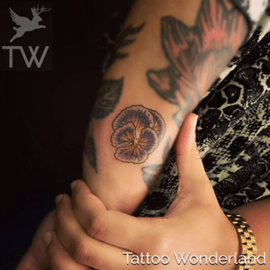 #violettattoo @brooklyntattooartist @tattoowonderland #youbelongattattoowonderland #tattoowonderland #brooklyn #brooklyntattooshop #bensonhurst #midwood #gravesend #newyork #newyorkcity #nyc #tattooshop #tattoostudio #tattooparlor #tattooparlour #customtattoo #brooklyntattooartist #tattoo #tattoos #violet #flowertattoo 