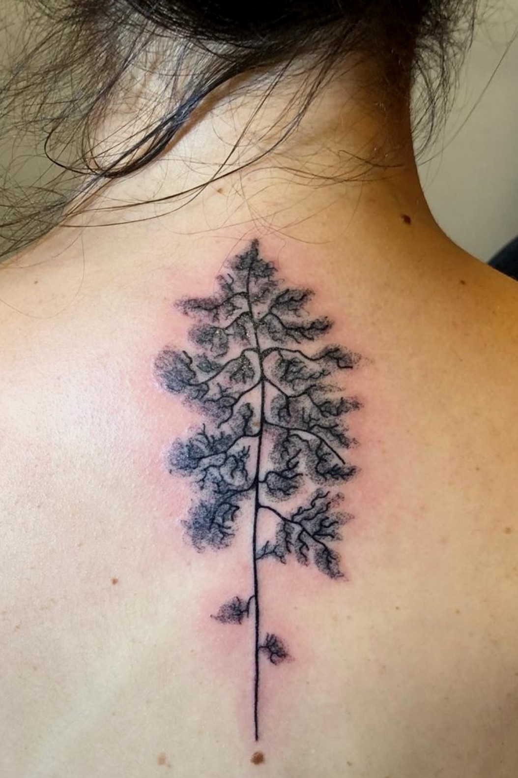 tree back tattoos men