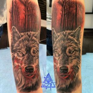 Wolf tattoo#alexkonti #tattoosketch #realistic #wolftattoo #polandtattoo 