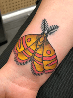 #moth #mothtattoo #traditional #traditionaltattoo #color 