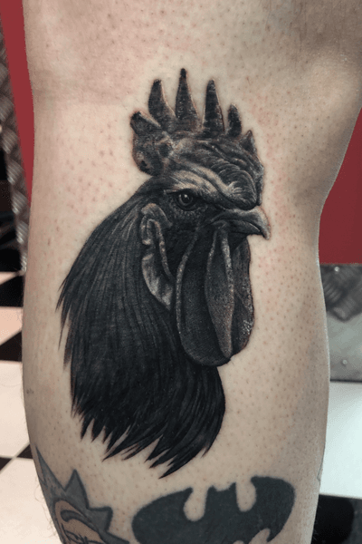 #rooster #realism #realistic #animal #animalportrait #cockroll #chicken #blackandgrey 