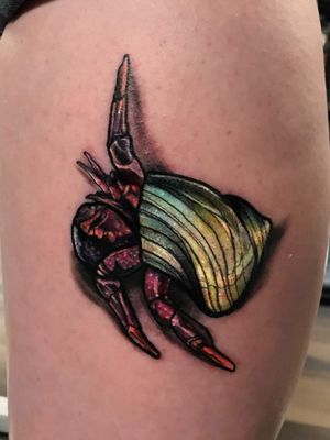 Hermit crab tattoo #hermitcrab #crabtattoo #shell #shelltattoo #oceantattoo #animaltattoo #pets #colortattoo #colorfultattoo 