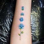 Blue Flower stages