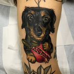 Tattoo by Krystal / #krystaltattoo#tattooistkrystal#dog#dachshundtattoo#dachshund#newschool#newtraditional 