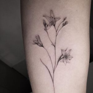 Tattoo by Danilo Delfino #DaniloDelfino #Awesometattoos #besttattoos #tattoodoapp #appartists #trendingtattoos #toptattoos #tattoodoappartists #illustrative #flower #floral #plant #nature