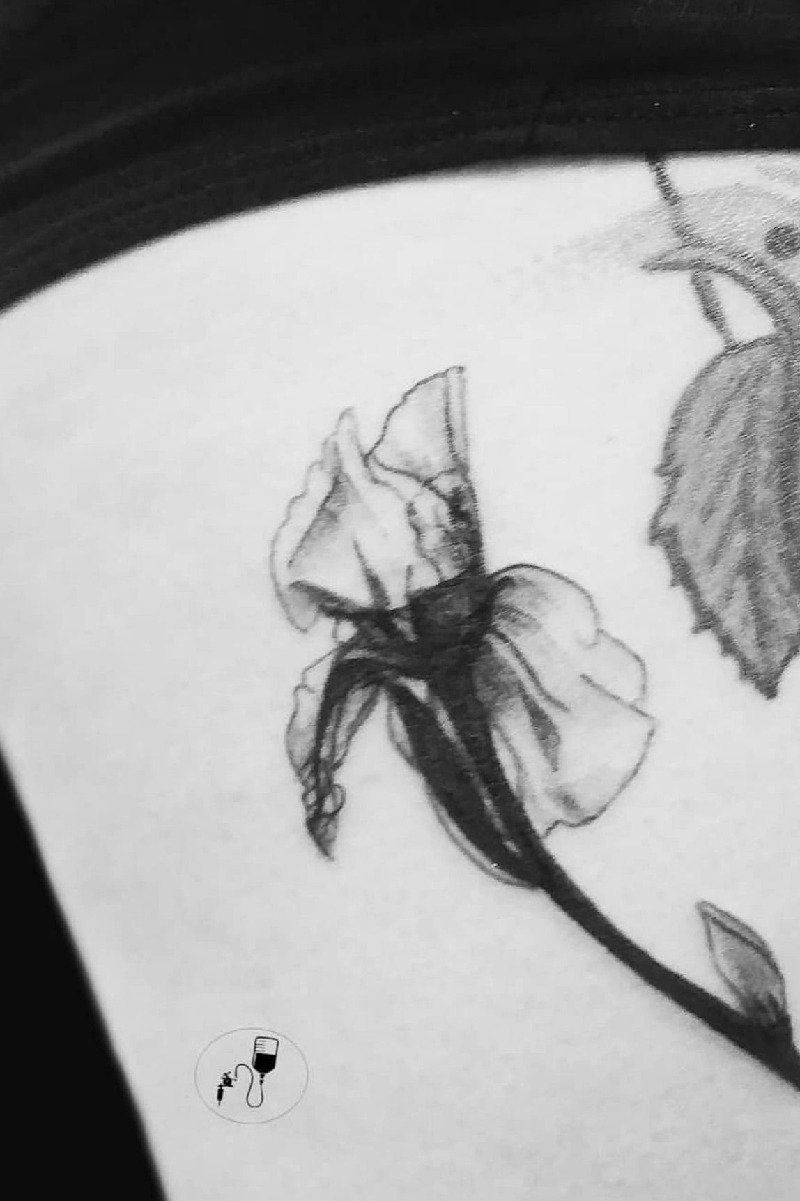 Iris flower tattoo black and white Photographic Print for Sale by PunArt   Redbubble