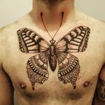 butterfly tattoo #butterflytattoo #butterfly #dots #mandala 