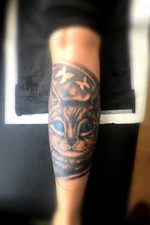 tattoo#cat#blue#blackandgrey#tattooartist#Nenad