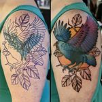 Colorful Crow Cover-up Neotraditional