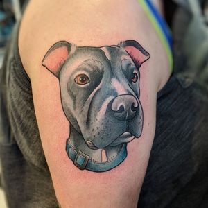 Neotraditional Pitbull Dog Portrait