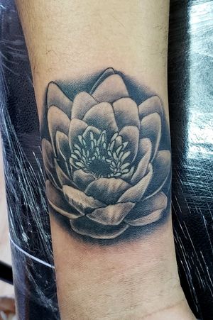 Flor de loto en grises 