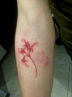 Red and white Spider lilies 😊 hope you like it! 3rl viking ink . #flowers #tattoo #garden #flowertattoo #tokyoghoul 