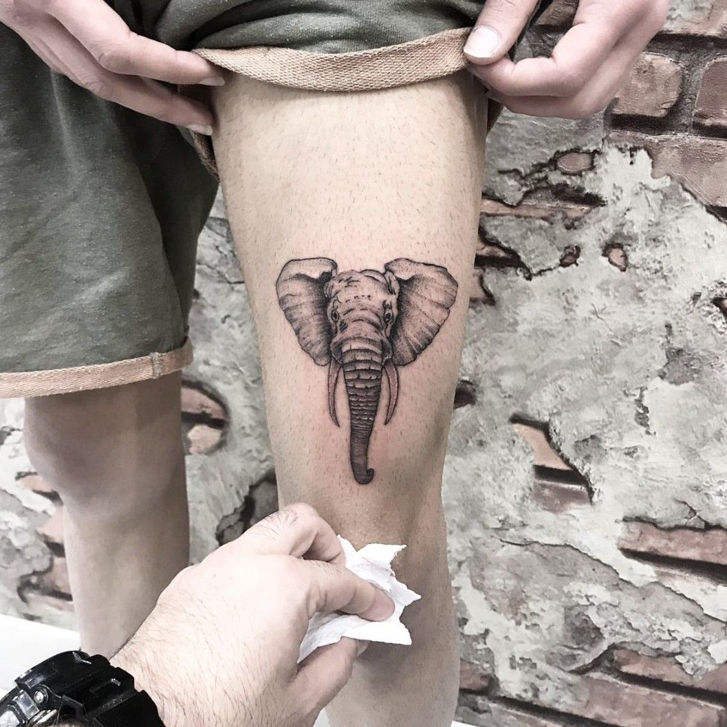 Ellie Dutton Art  Some extra pieces I added to this elephant sternum I did  a while back work art tattoo tattooist tattooed tattooart artwork  darkart darkartists blackwork sternum sternumtattoo underboob  underboobtattoo 