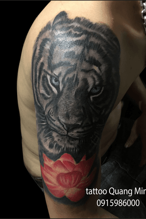 Tiger tattoo ________________________________ Tattoo Studio Quang Minh ☎️Hotline: 0915986000 ⛩Address: số 469 Minh Khai - Hai Baf Trưng- Hà Nội #tattoostudioquangminh #vietnamtattoo #tattooartist #vietnamartisttattoo #tattoovietnamese #tattoovietnam #tattoolife #tattoolifestyle #tattoostudio #vietnamink #ink #inktattoo #inktattoostudio #inktattoos #designtattoo #hanoitattoo #tattoohanoi #tattoostudiohanoi #tattooart #tattoostudio #piercingvietnam