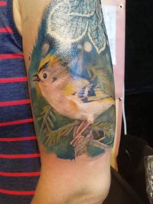 #tattooart #tattooartist#birdtattoo#naturetattoo#realismtattoo#tattooartistgermany#tattooedwoman#sleevetattoo