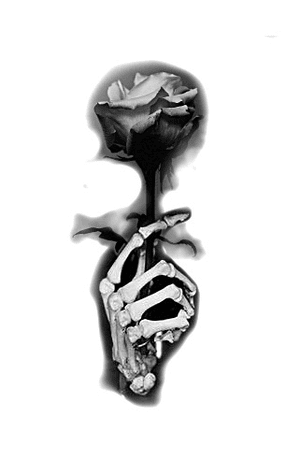 Got some time to tattoo today, come on in and get this cool lil guy tatted on ya ill hook it up! #skeleton #realism #realistic #rose #ianvanderwerff #tatted #blackwork #blackworktattoo 