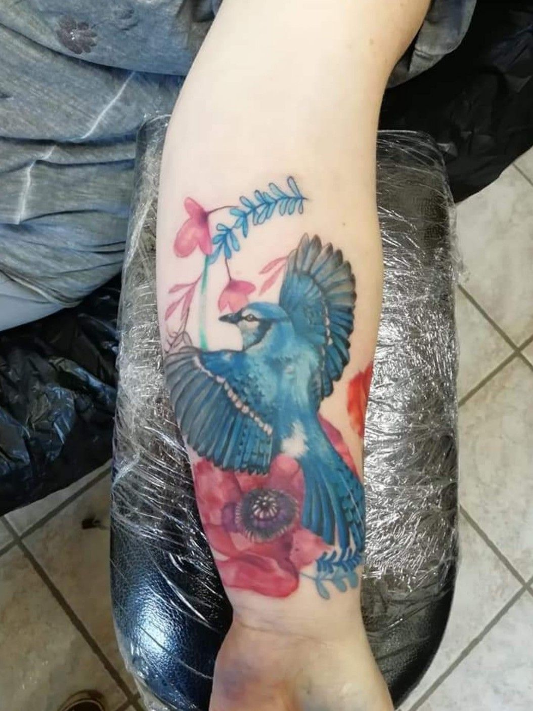 Blue Jay  Cardinal Chest Piece  Dennis Duarte  ArtForLife Keene NH  r tattoos