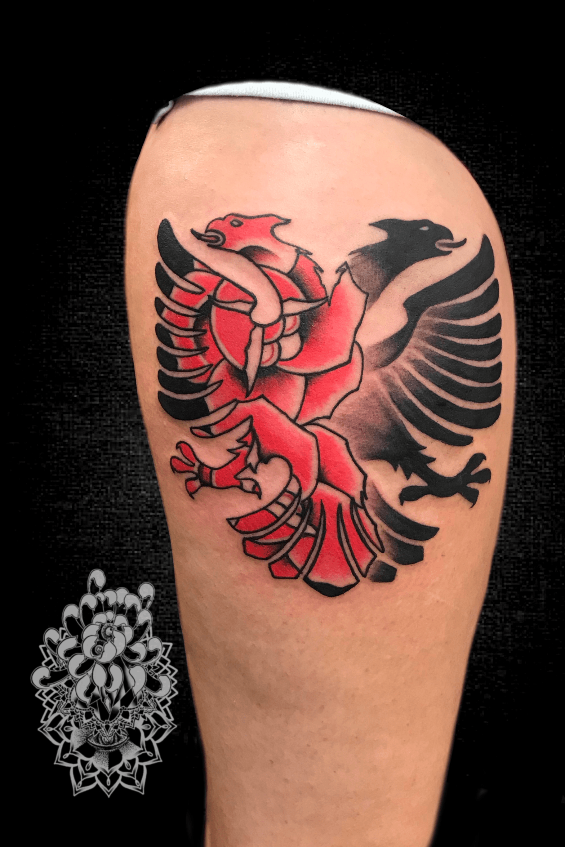 albanian eagle tattooTikTok Search