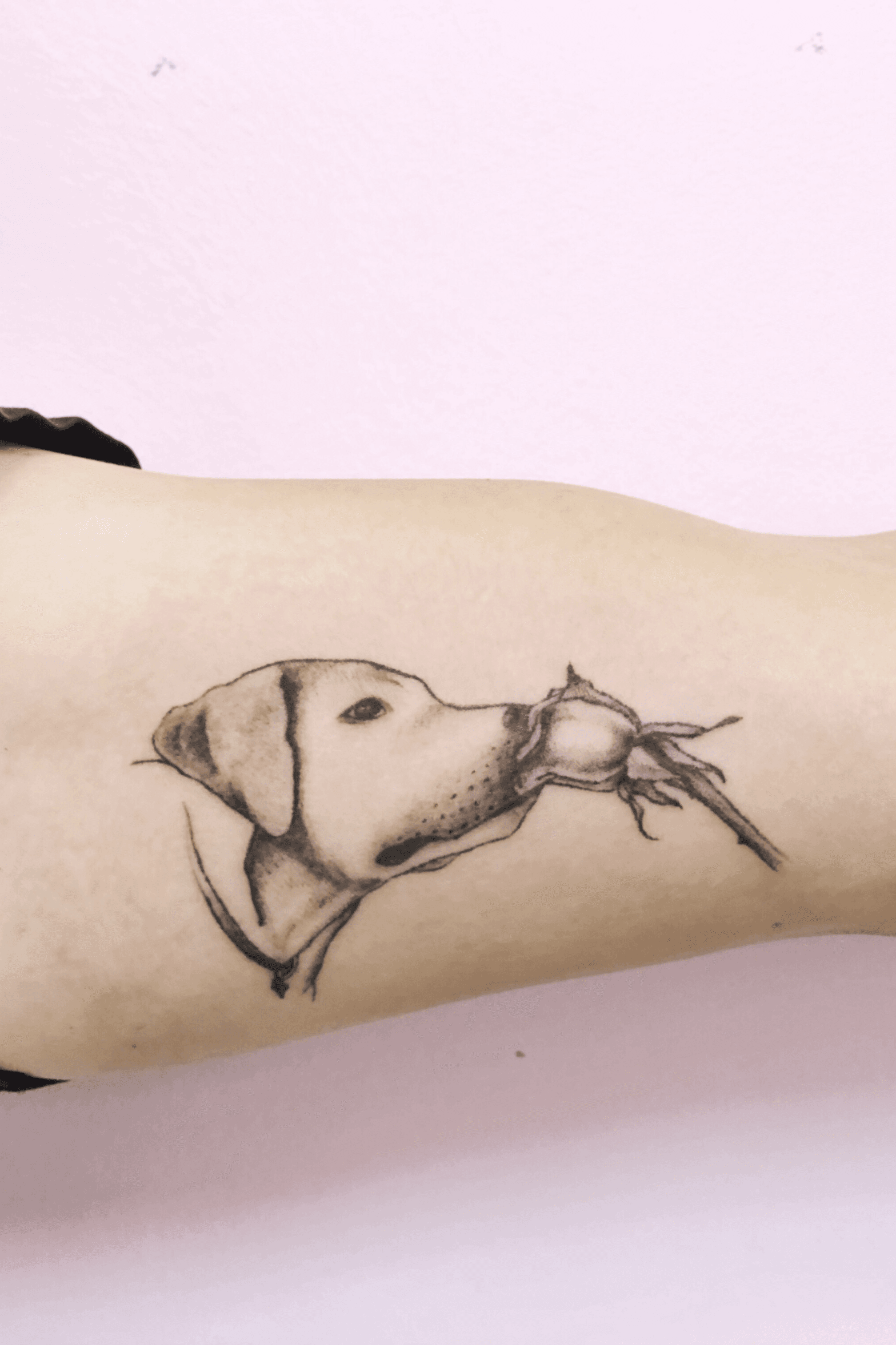 Best Cute Small Tattoos Designs For Girls  Iron Buzz Tattoos