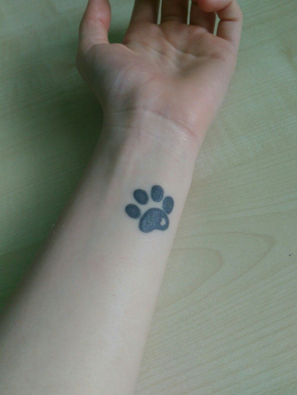 30 Best Cat Paw Print Tattoo Designs  Cat paw print tattoo Cat paw tattoos  Paw tattoo