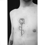 Tattoo by @Samfarfan (+34684178546) #Tattoo #tatuajes #rose #roses #rosetattoo #ink #inked #blacktattoo #blackink #lines #black #madrid #photooftheday #photography #alternative #tattoing #tatuadoresvenezolanos #tattooartist #tatuadora #weekend #weekendvibes #sundaymood #sunday