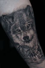 #wolftattoo #wolf #tattoo #saneltattoos #tattoodo