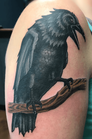 A Raven.