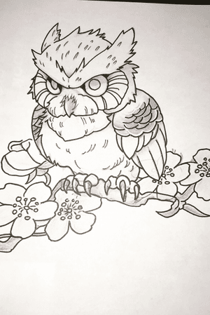 Owl with a sakura blossom branch #sakura #owl #flowers #art #tattoo #design #drawing #cherryblossom 