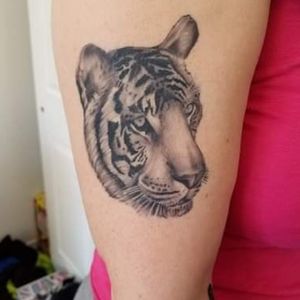 Healed pic of a tiger head. Lots more to come