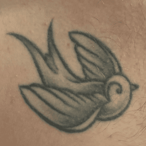 Swallow. Done by Daan van der Dobbelsteen at House of Gain, Deventer, Netherlands at March 11, 2011.