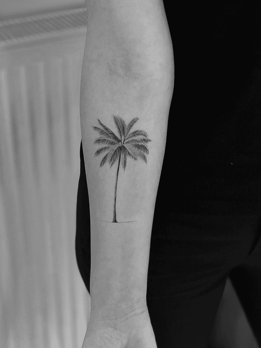 Tattoo uploaded by Ali Anıl Erçel • Palm tree #palm #tattooartist # ...
