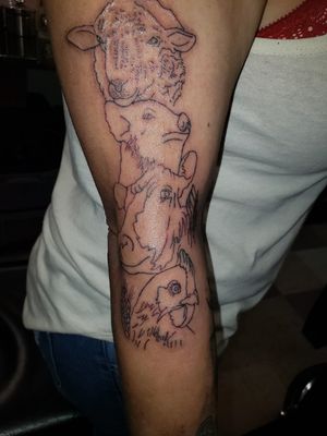 Outline for farm animals done.