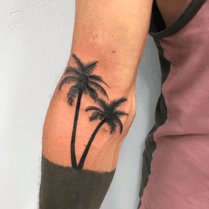Palm Tree in the ditch