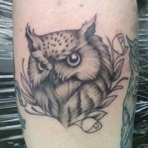 Little owl I started