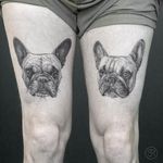 Tattoo by Sven Rayen #SvenRayen #dogtattoos #dogtattoo #pup #petportrait #puppy #animal #nature #mansbestfriend #frenchie #frenchbulldog #illustrative #blackandgrey #realistic #realism