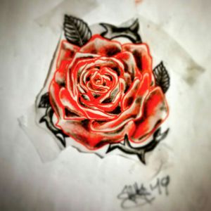 #rose #workinprogress #redrose #realistic #drawing #nextattoo #myartwork #myart 