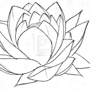 Decided I will be starting the lower part of my sleeve today. Starting with the lotus, next will be a koi to follow and more lotus. Will post pics once the work is done #sleeves #lotusflower #colourtattoo #sacredchaosink #startofasleeve 