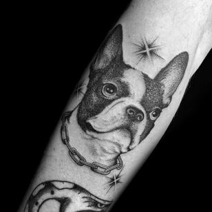 Tattoo by Jason Tyler Grace #JasonTylerGrace #dogtattoos #dogtattoo #pup #petportrait #puppy #animal #nature #mansbestfriend #blackandgrey #chain #frenchie #frenchbulldog #illustrative #star