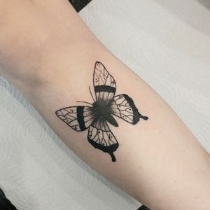 Butterfly 💜✨ 