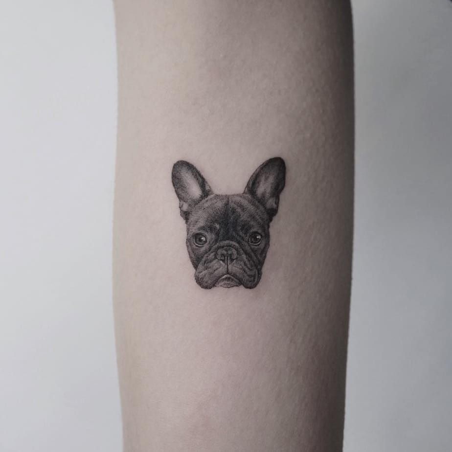 French Bulldog Tattoo Outline Style by noranink  Tattoogridnet