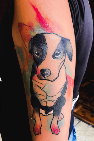 Dog neotradi #color #tattooartist #tattooart #neotraditionaltattoos #neotraditional #colortattoo #quitotattoo #ecuador 