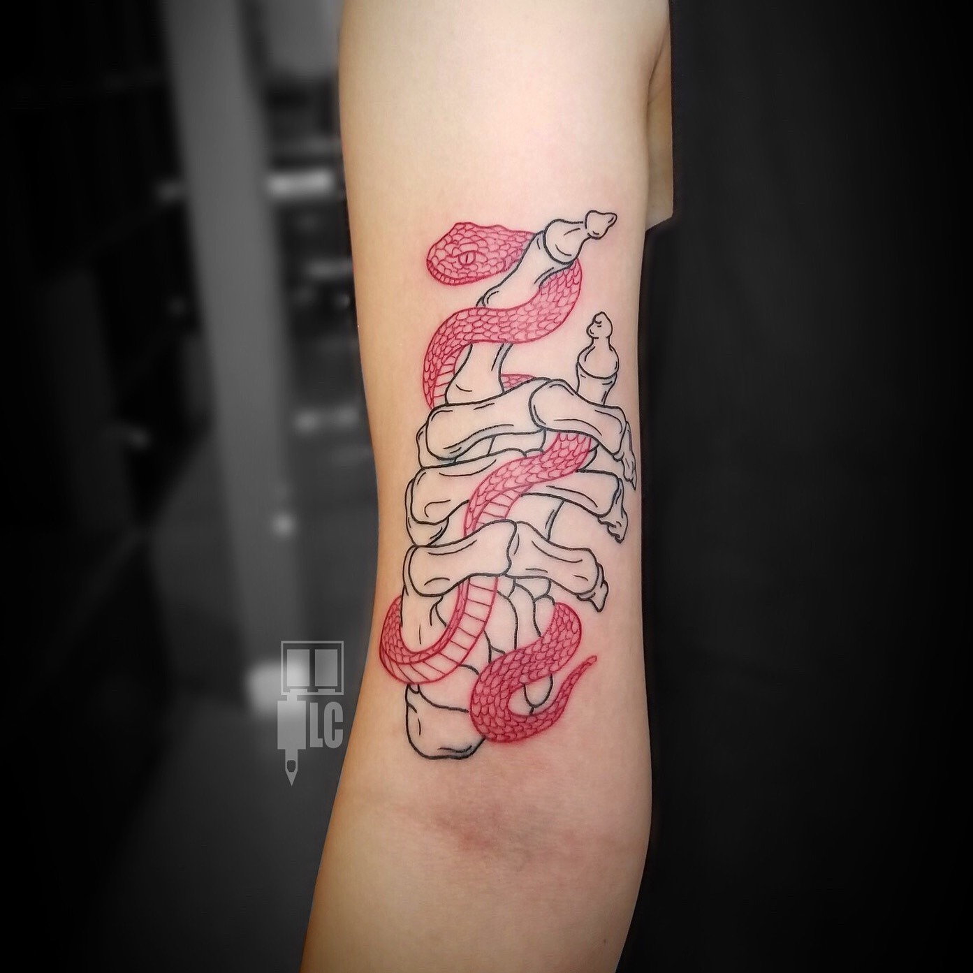 Tattoo uploaded by Logan Cheung • Snake & Skeleton Hand #snaketattoo  #skeletontattoo #redandblack #linework #fine-line #lineworktattoo  #blackandgray #biceptattoo #snake #blackwork #simpletattoos • Tattoodo