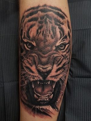 Tiger Tattoo On Left Calf#BlackAndWhite #Tiger #Tattoo #Calf #Realism #realistic #Black #white 