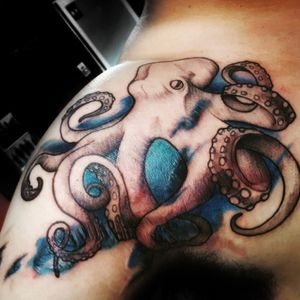 Octopus in watercolor 