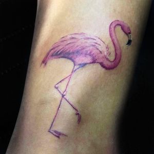 Flamingo realistic full color 
