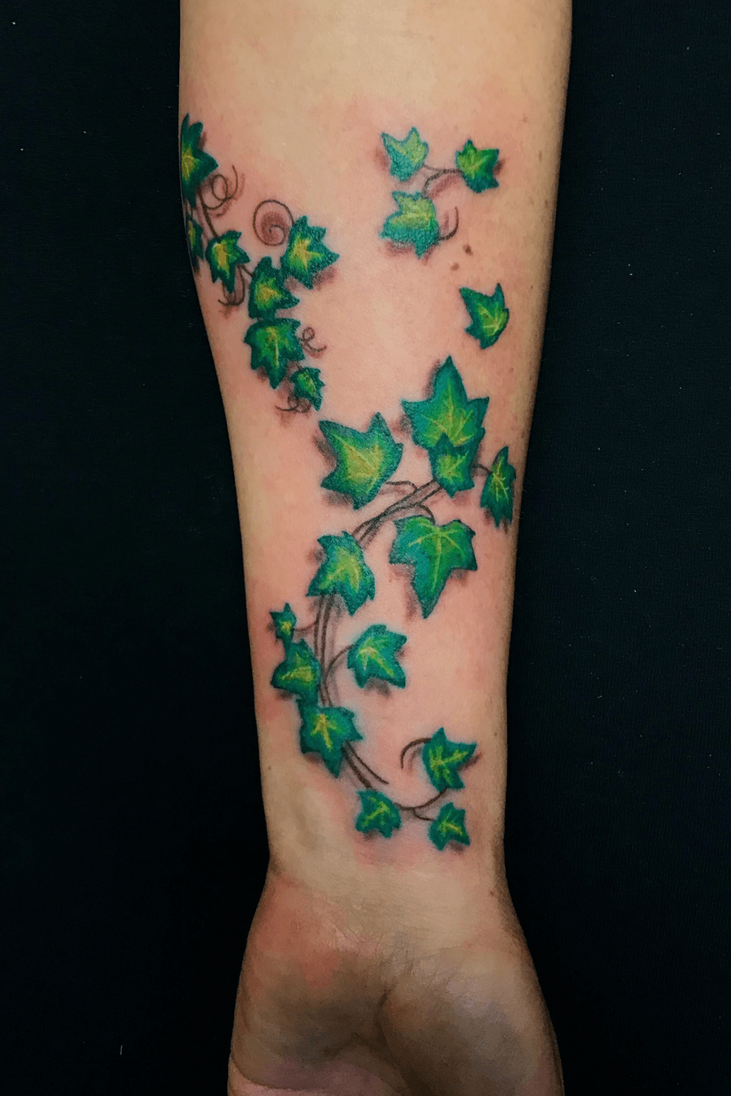 My Poison Oak  Snake Tattoo by Jennifer Lawes at Take Care Tattoo Port  Perry Canada  Snake tattoo Snake tattoo design Insect tattoo