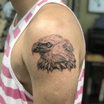 Single needle Eagle #eagletattoo #eagle #singleneedle #singleneedletattoo #blackandgrey #tattooartist #Tattoodo #TattoodoApp 