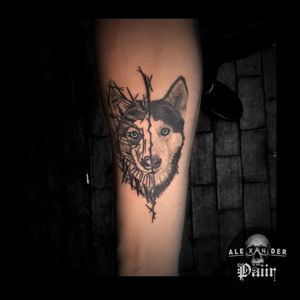 ~ Titán 🔥@PaiirStudio#Dog #Tattoo #Titán #Husky #Pet #Love #Mascota #Can