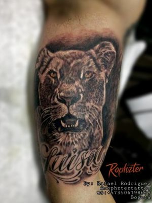 LionessBlack and grey#tattooart #tattooartist 
